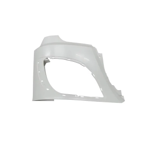 DF-025 - Moldura do farol direito DAF